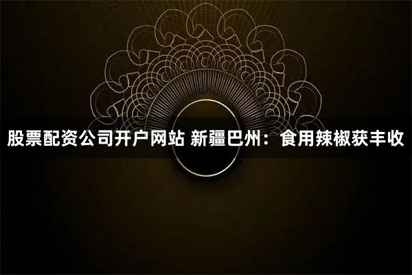 股票配资公司开户网站 新疆巴州：食用辣椒获丰收
